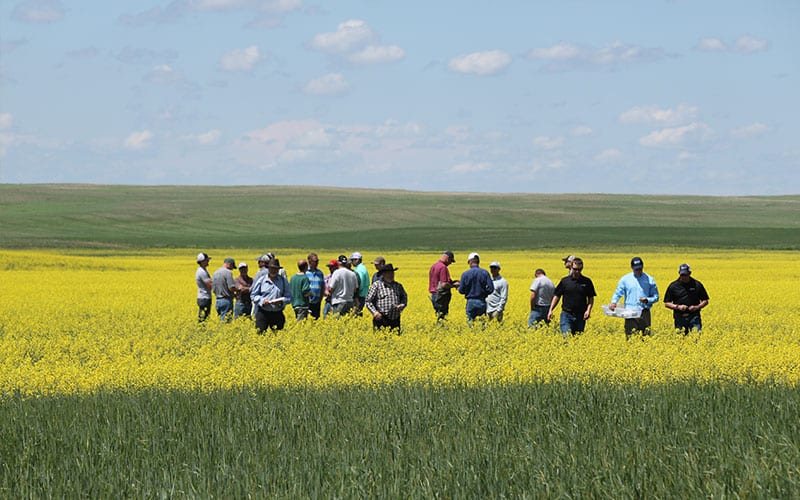 PNW Canola Association