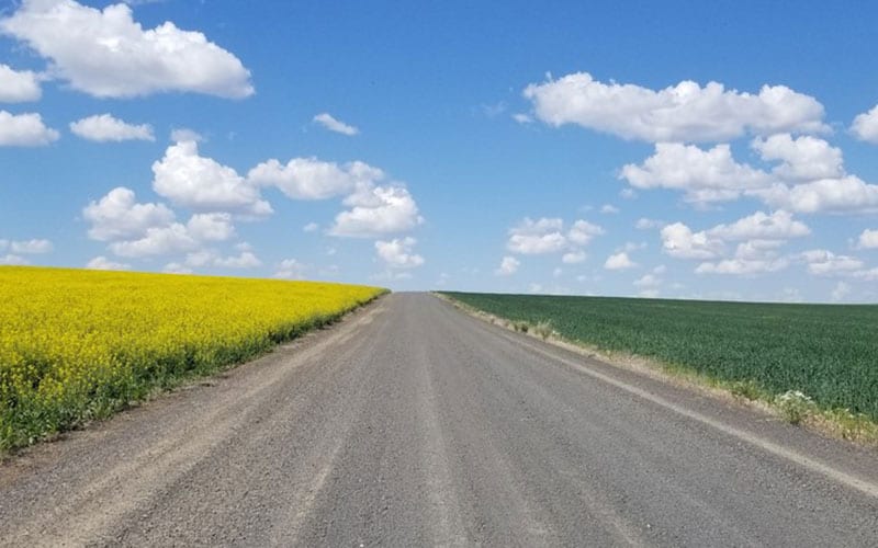 PNW Canola Association