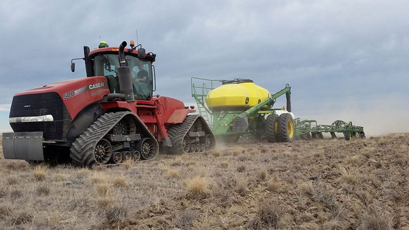 Planting canola crops 5