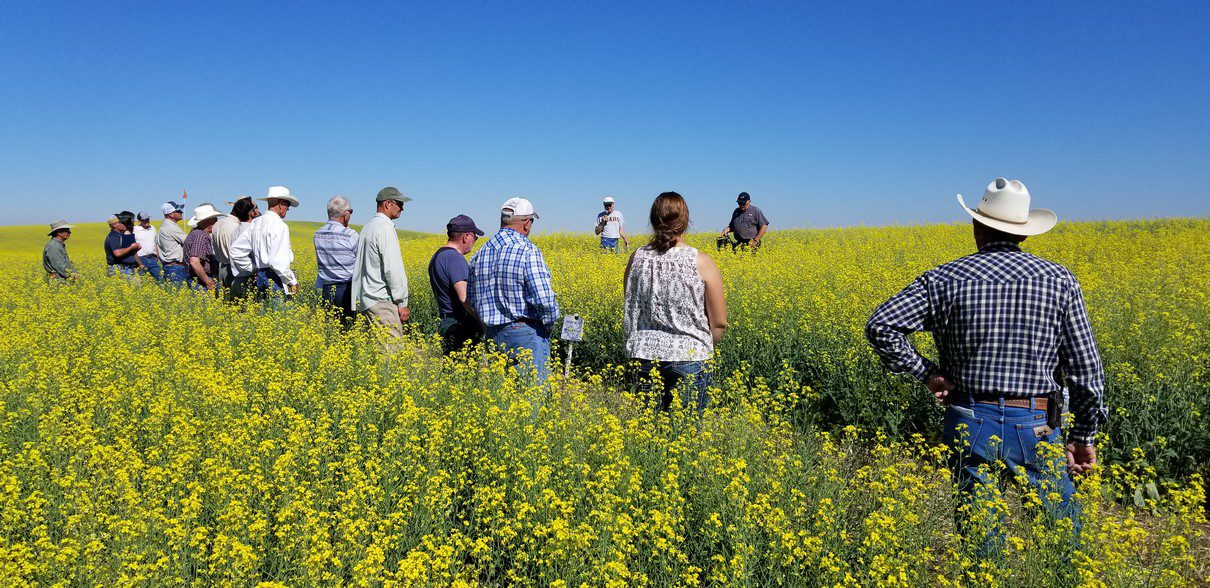 20210629_UI crop tour Camas Prairie