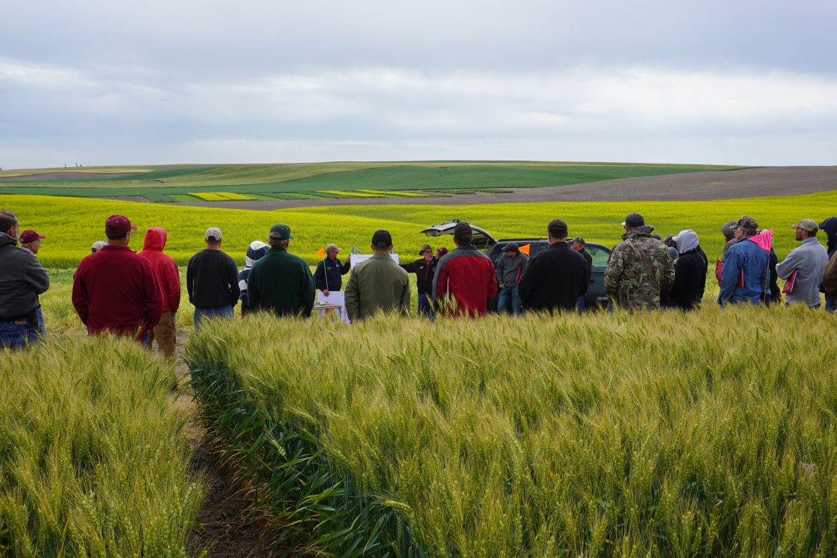 Wilke Farm field day pic