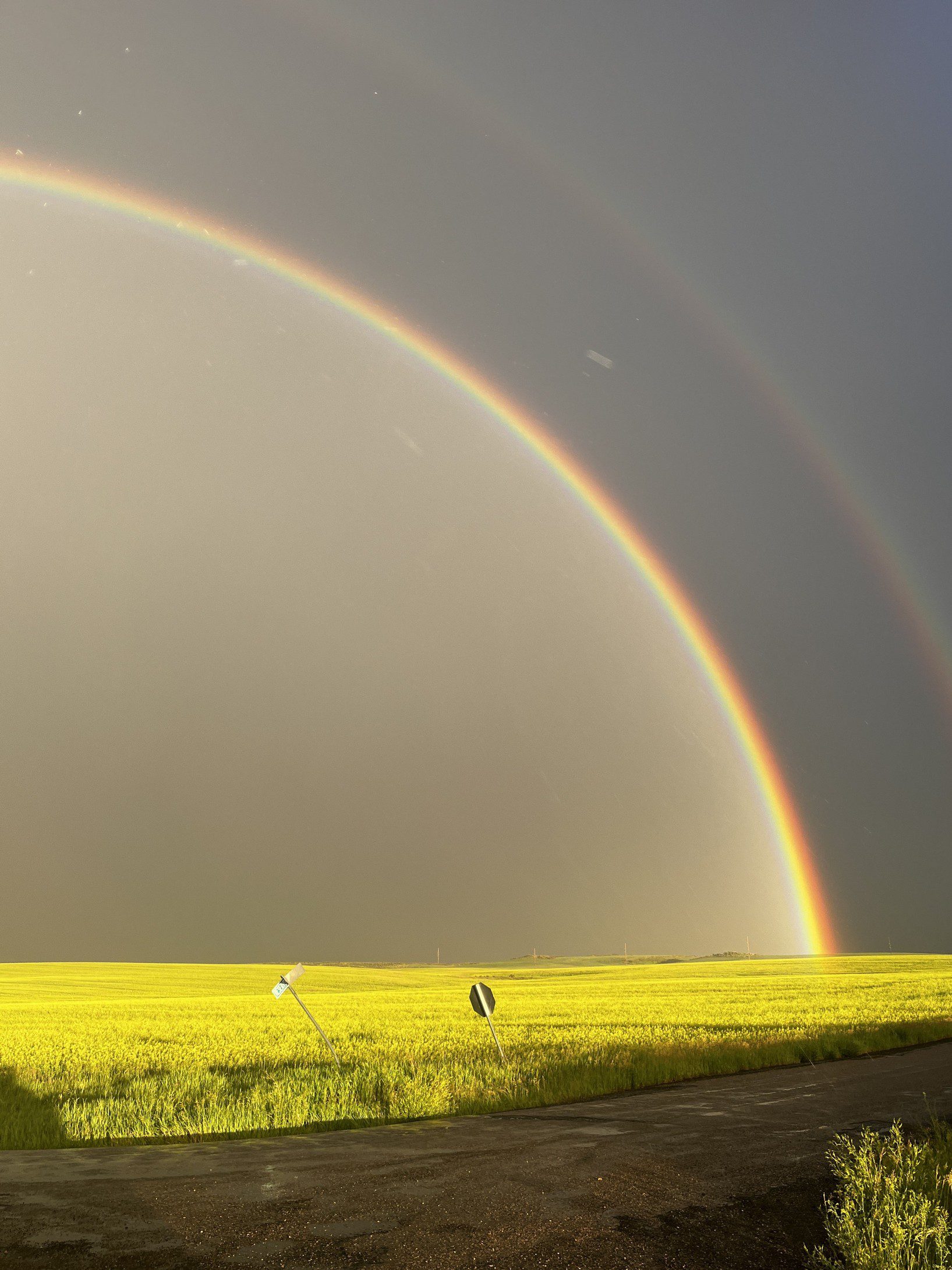 Lakey 062724 Gold Rainbow_tn