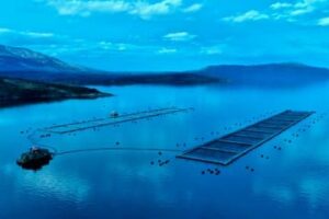 Fish farm using Aquaterra omega-3 aquaculture feed