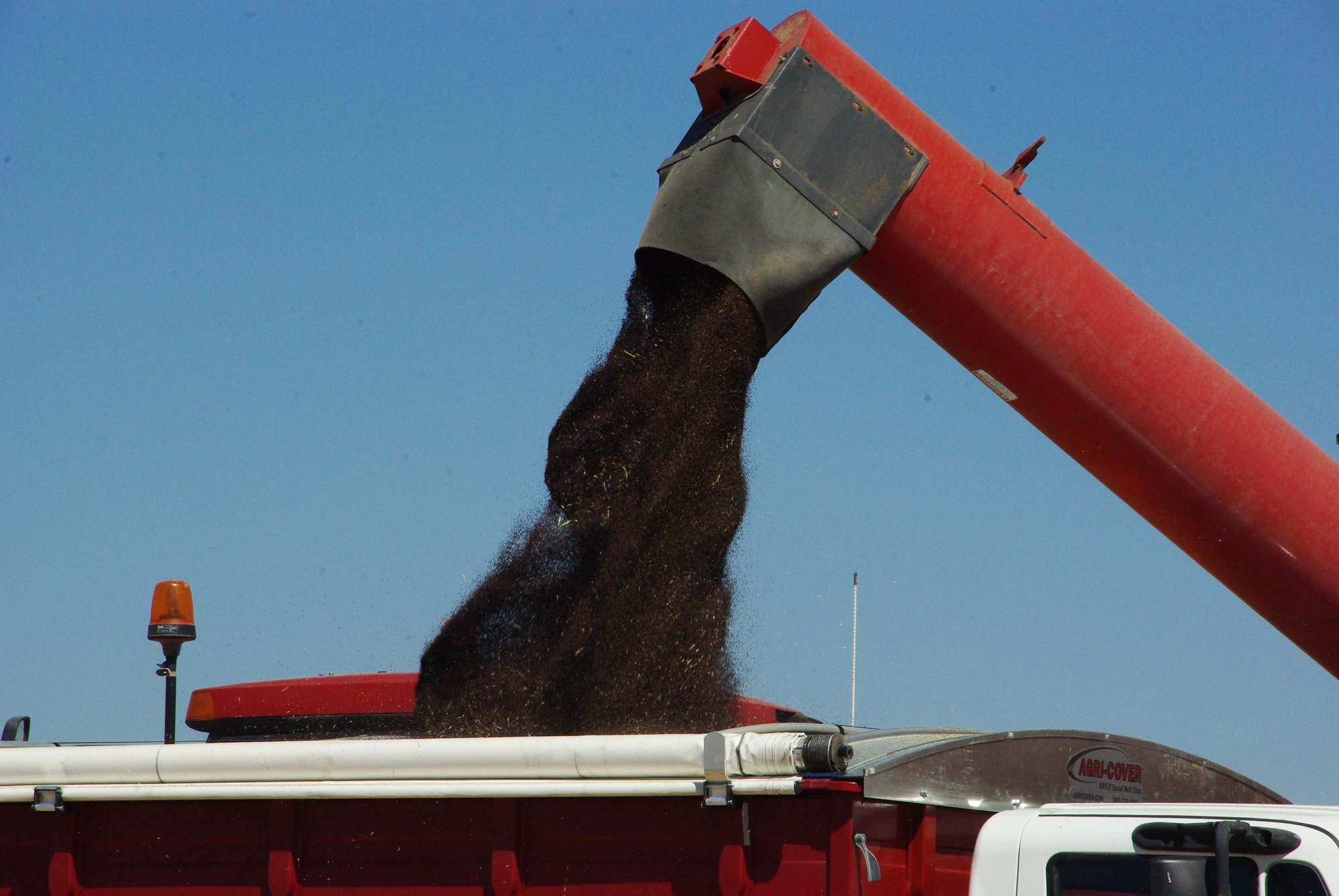 Grain auger unloading harvested crop into a truck