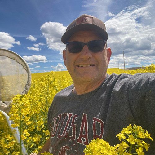 Man wearing sunglasses takes selfie in yellow flower field