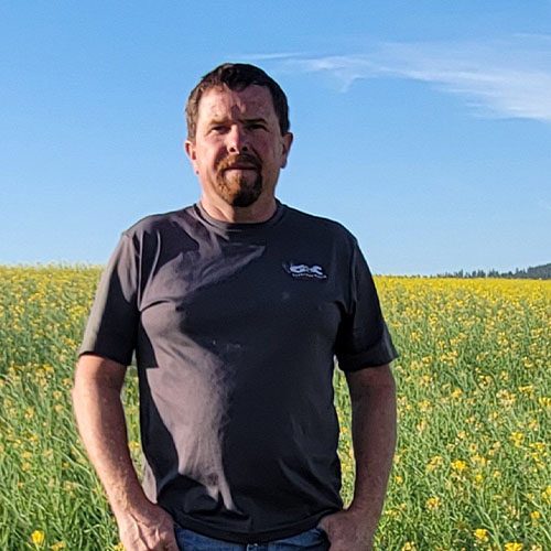 Man standing in a yellow wildflower field